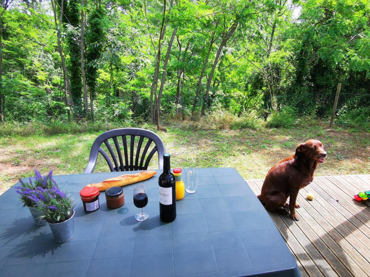 Camping Le Coin Charmant Chauzon Zewnętrze zdjęcie